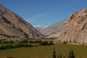 Wine country in Chile.